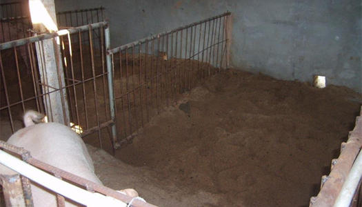 w66利来最给利的老牌